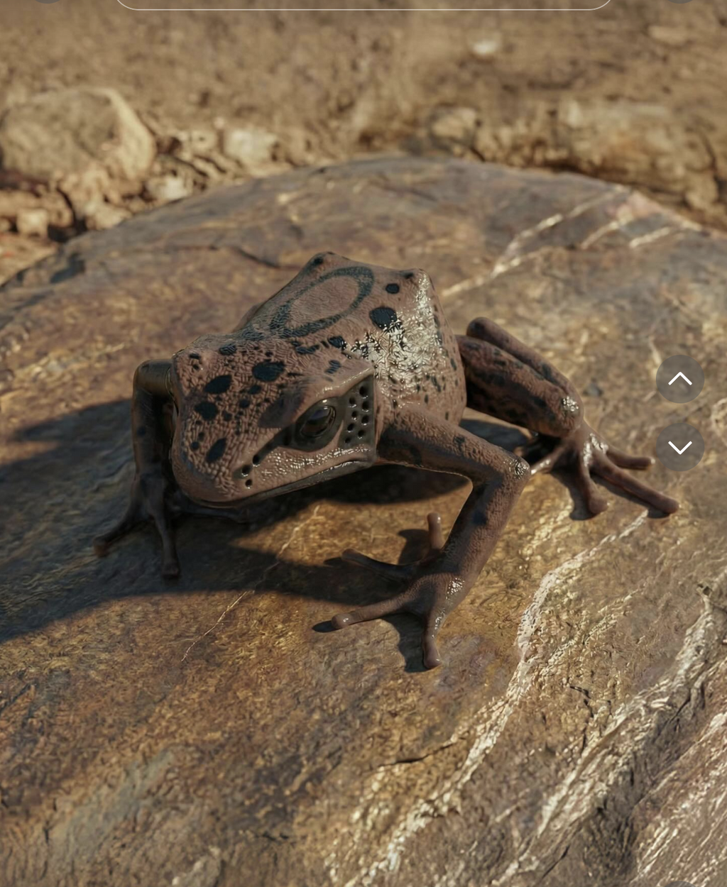 Apolon Canyon AI