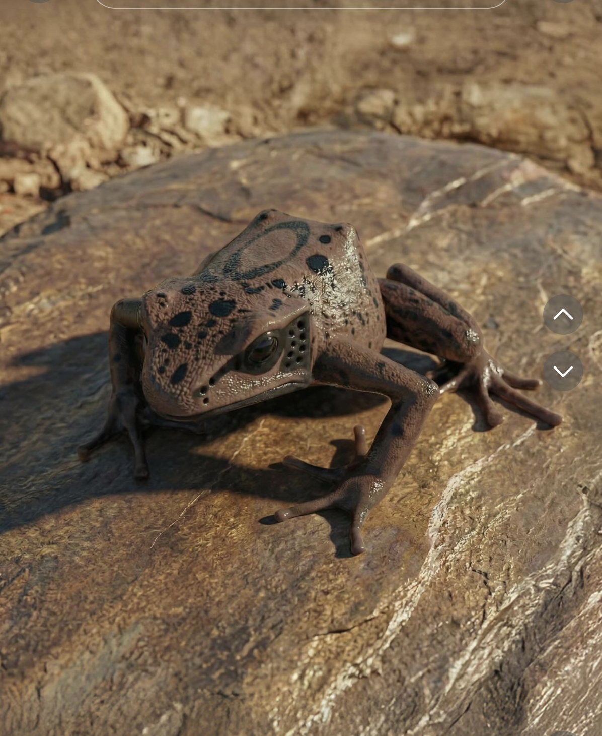 Apolon Canyon AI